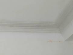 Moldura Gesso Ubatuba